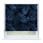 Ночные джунгли